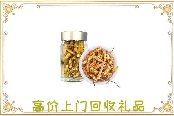 深圳市周边回收虫草